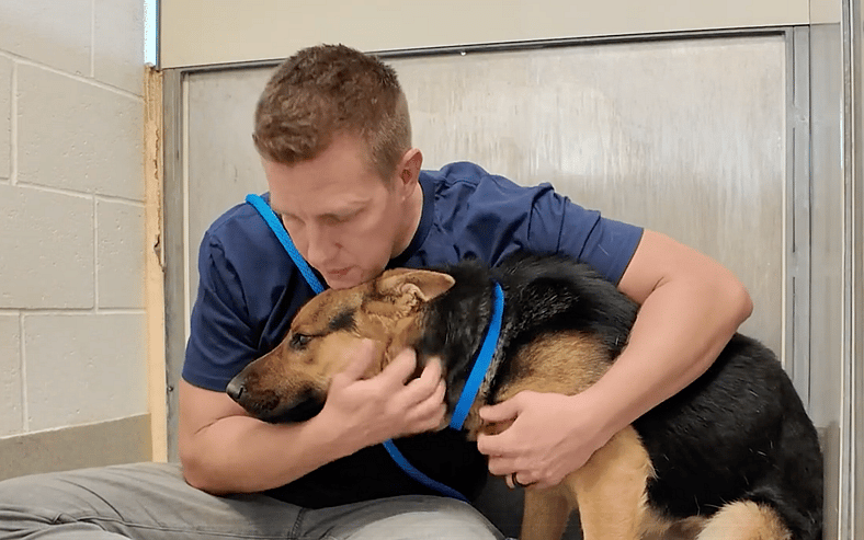 Sitting with dogs: Bruno